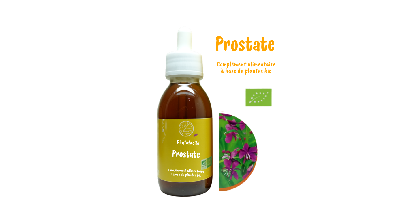 Phytofacile- Prostate